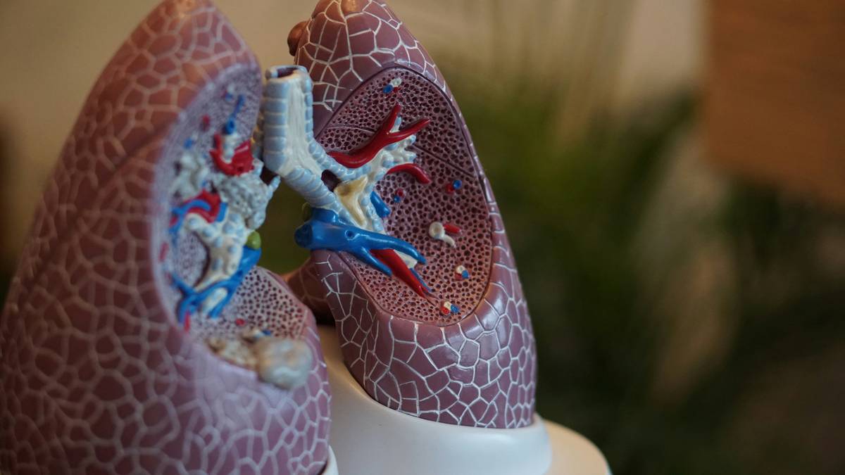 Measuring resting breath rate for air flow training baseline